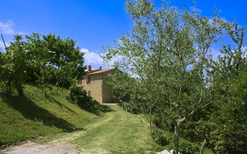 Casetta i Ciliegi: Jardin, Chalet, Ferme, Ombre, Aménagement Paysager, Biens, Cour, Arrière-Cour, Mur De Pierre, Hacienda