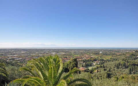 Villa Camaiore: Végétation, Ciel, Arbre, Communauté Des Plantes, Formations Arbustives, Botanique, Palmier, Horizon, Plante, Colline