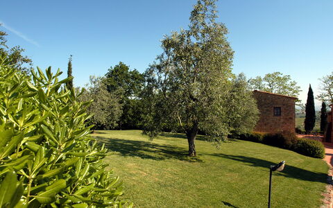 La Valle: Arbre, Propriété, Herbe, Maison, Plante, Jardin, Suppression Des Plantes Ligneuses, Botanique, Immobilier, Famille Grass