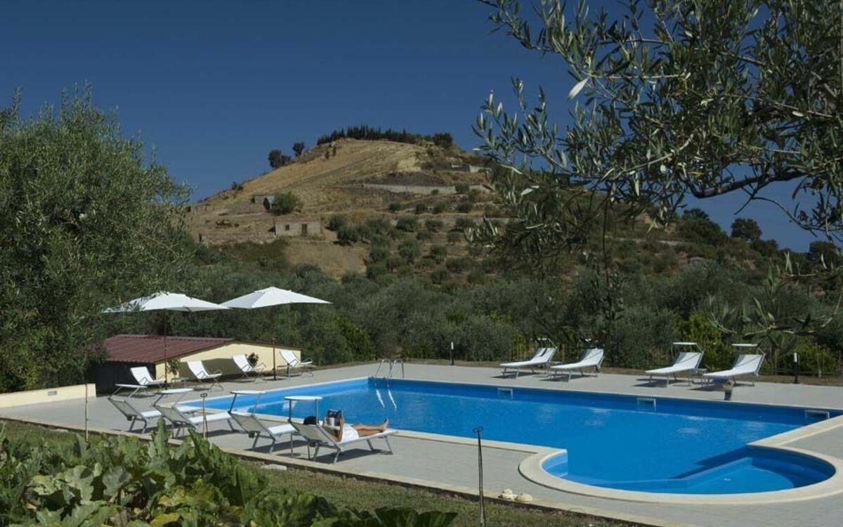 La Collina Degli Ulivi