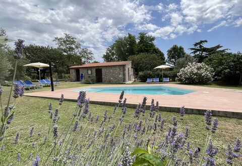 Funghi 1: Nuage, Plante, Ciel, L'Eau, Fleur, Piscine, Arbre, Herbe, Paysage Naturel, Loisir