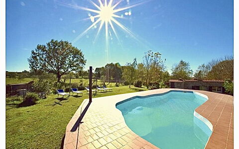 Funghi 2: L'Eau, Ciel, Plante, La Nature, Bleu Azur, Piscine, Herbe, Arbre, Ombre, Rectangle