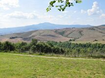 Le Querce Di Campocane