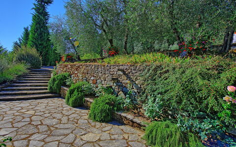 Villa Montalcino: Jardin, Végétation, Mur, Arbre, Plante, Passerelle, Jardin Botanique, Botanique, Paysage, Famille Grass