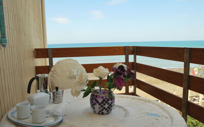 Marina Di Castagneto