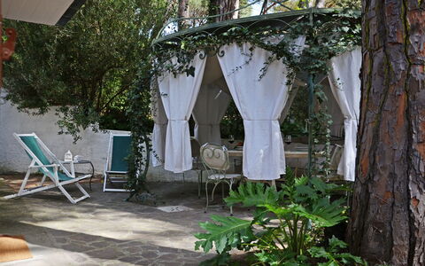 Villa Pineta: Meubles, Chaise, Mobilier De Jardin, Ombre, Jardin, Tableau De Plein Air, Structure En Plein Air, Arrière-Cour, Cour, Patio